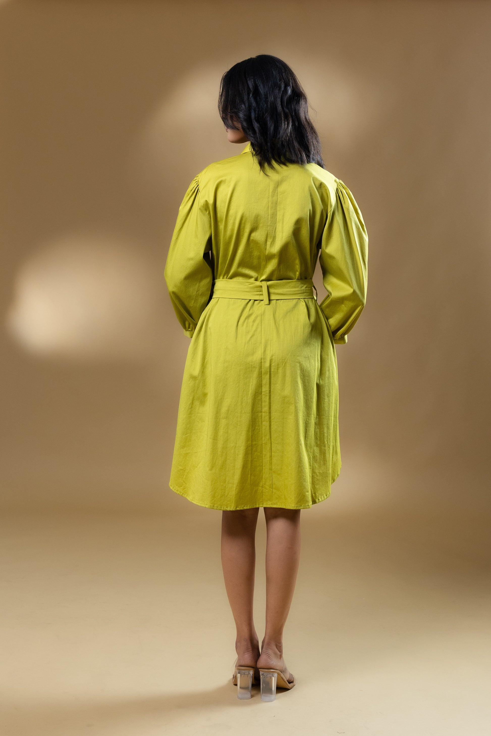 Green Satin Cotton Sequin Pocket Dress