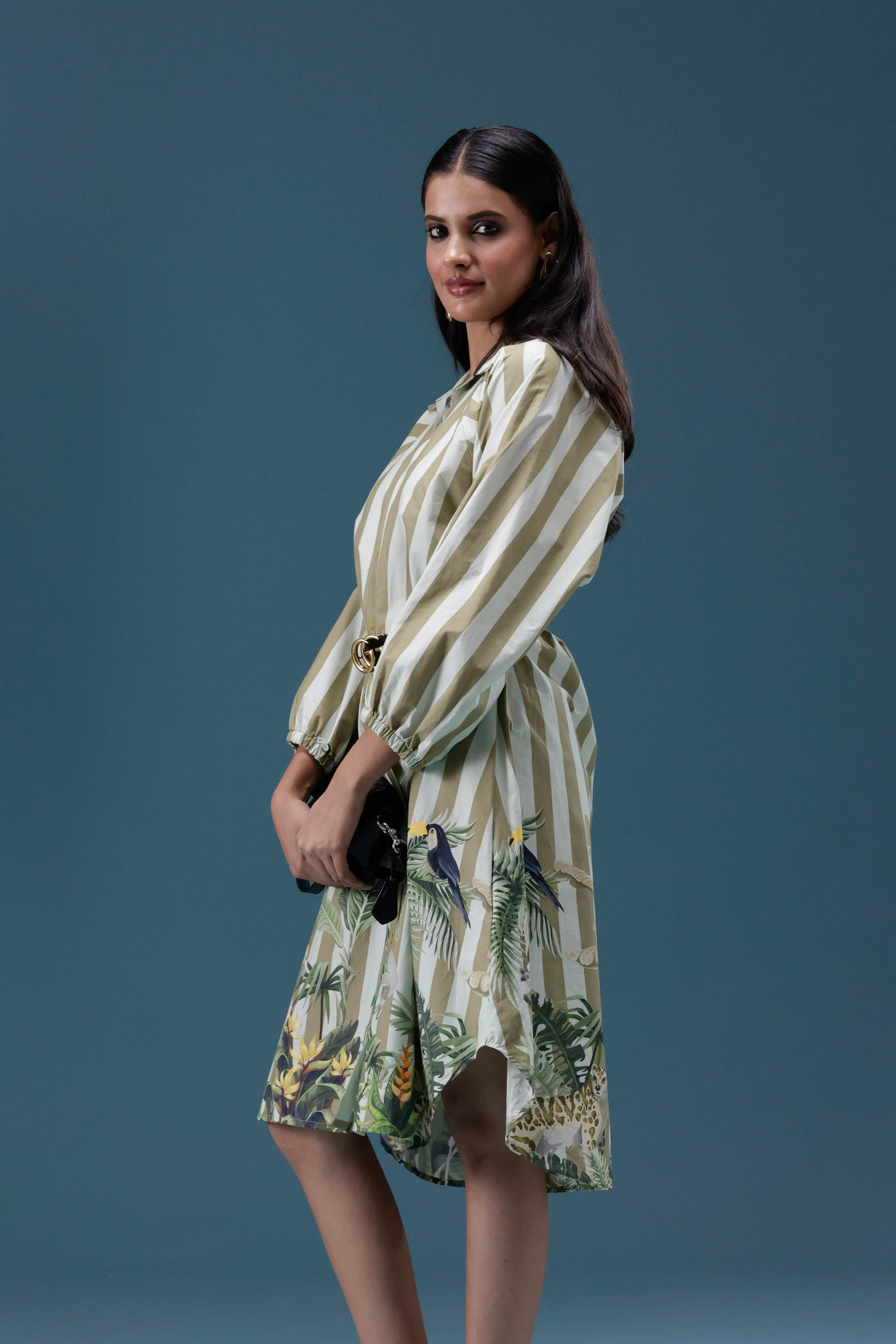 Green Stripe Printed Shirt Dress